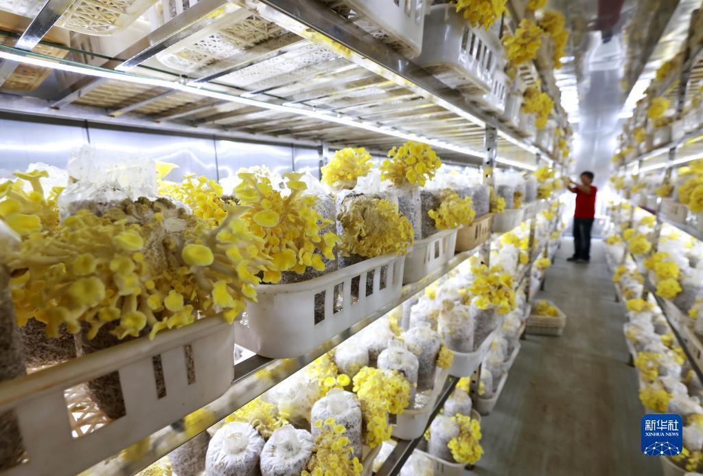 斗牛游戏中心